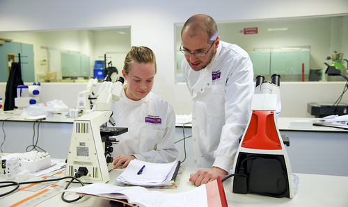 Two researchers in a laboratory