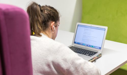 Researcher working at a laptop